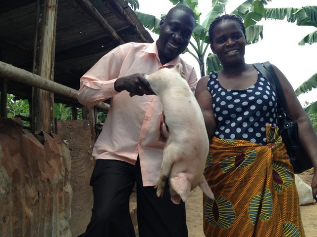 A trainee receiving a starter piglet