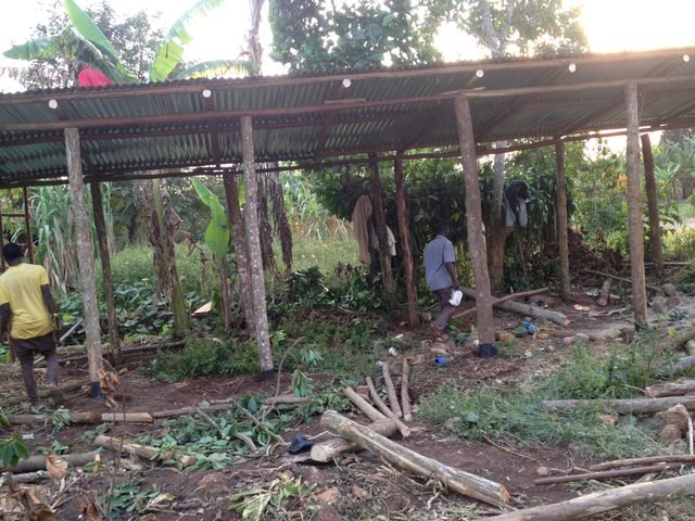 Building a shelter for the piggery pens