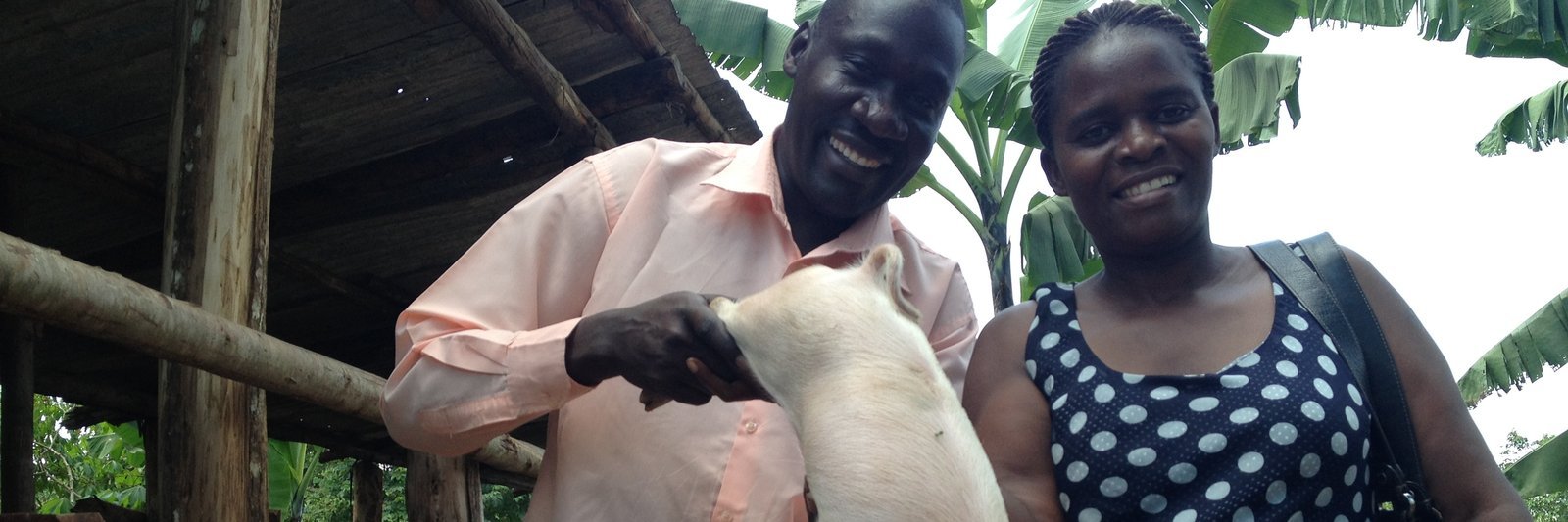A woman receiving a starter piglet through Turikumwe's livelihood program